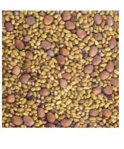 Seeds germinate - Alfa / clover / radish (formerly Anti-Age) BIO, 150 g